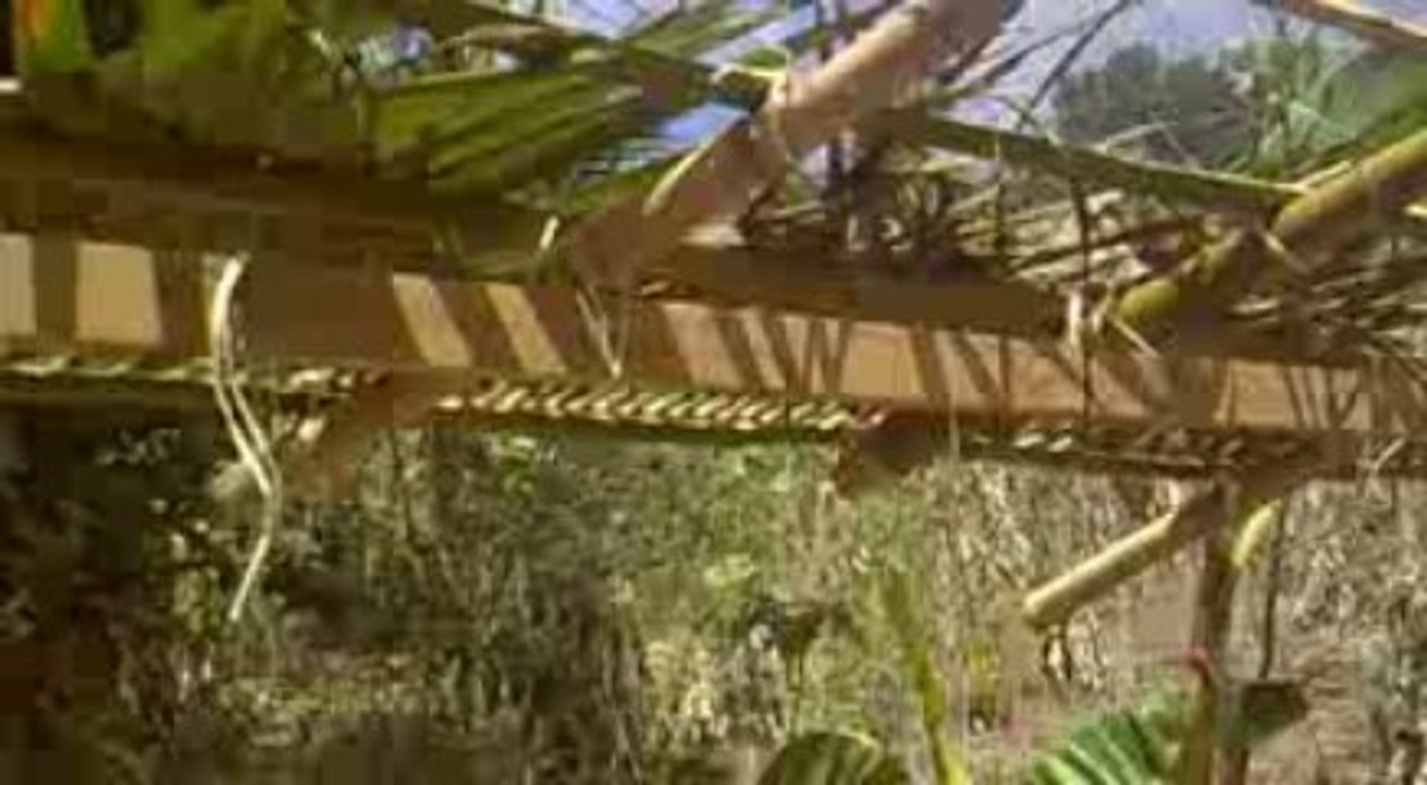 construction du faré