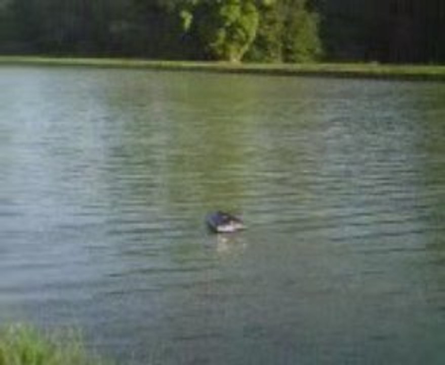 VIDEO0002