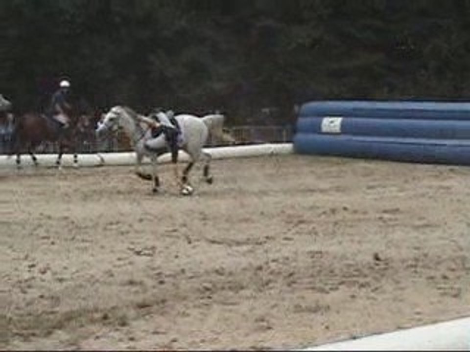 horses ball braine l'alleud