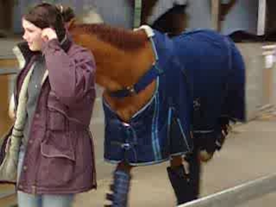 sorcière...avec protec de transport