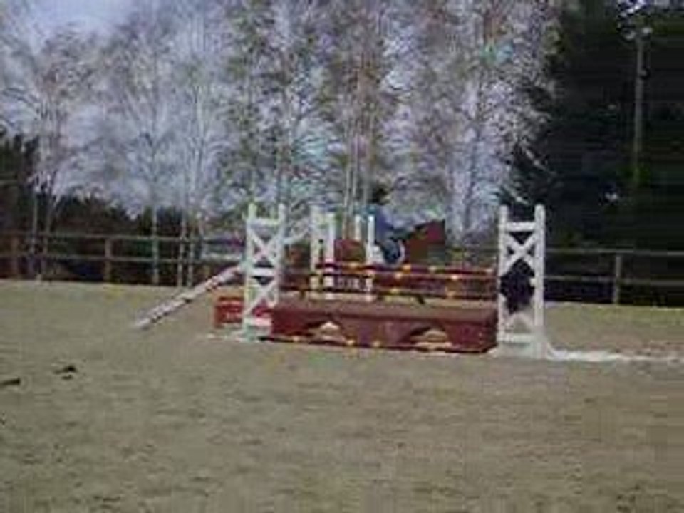 Junior saute 1