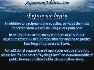 Fishless Cycling for a Freshwater Aquarium