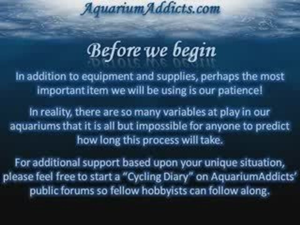 Fishless Cycling for a Freshwater Aquarium
