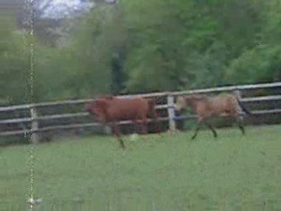 Sun et Sorcière chez Stephane ça fait un baille
