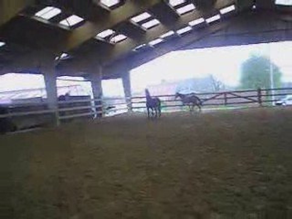 Junior a.k.a SORCIERE