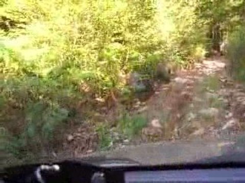 Pierrié Rando Haute Loire 2009 IMG_0587