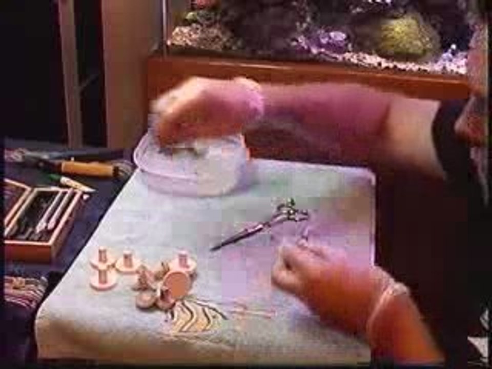 How to frag corals series: Finger Leather