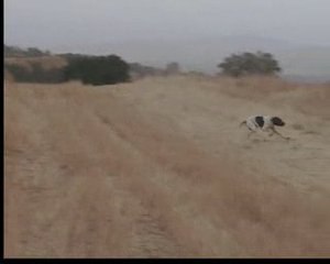 meks ( ing.pointer )