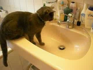 12ème vidéo de Sacha Coeur d'Velours