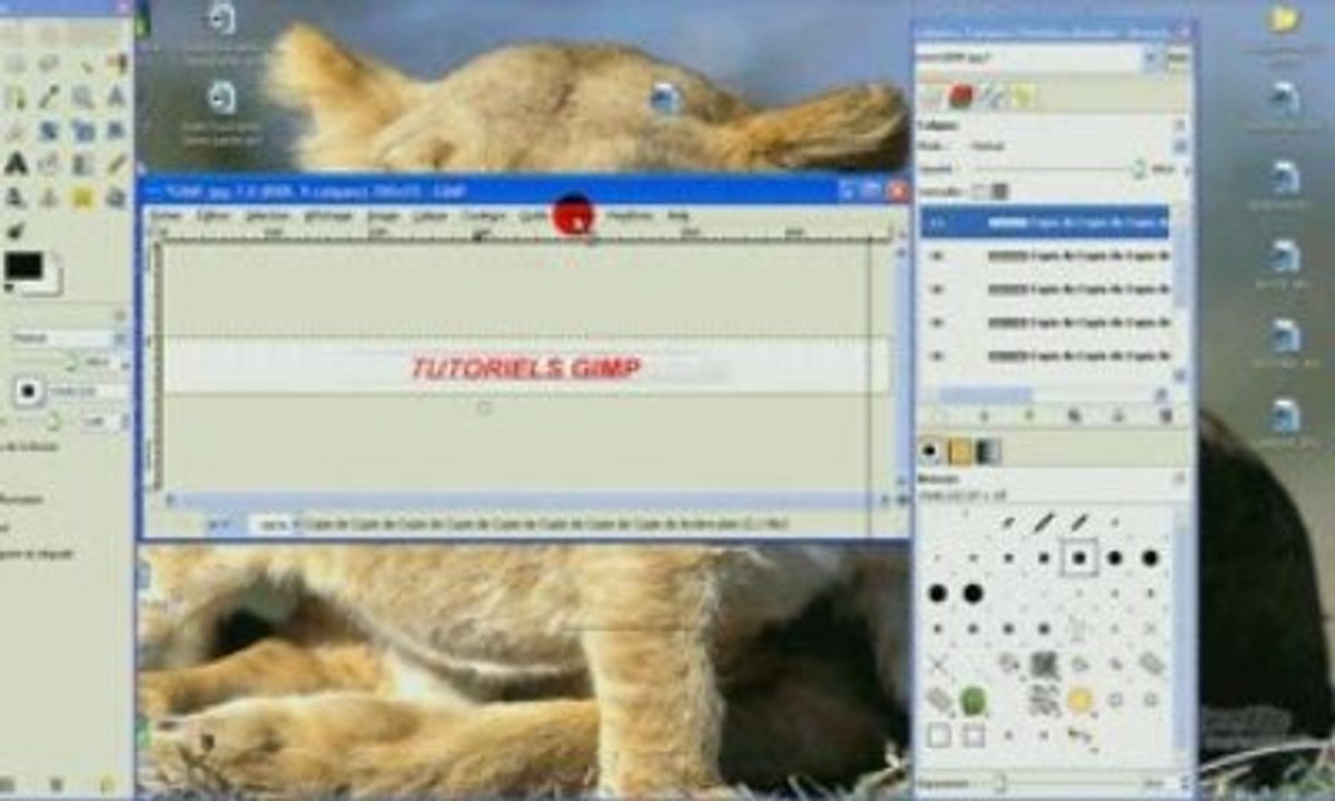 Réaliser une boite tournante avec "gimp"