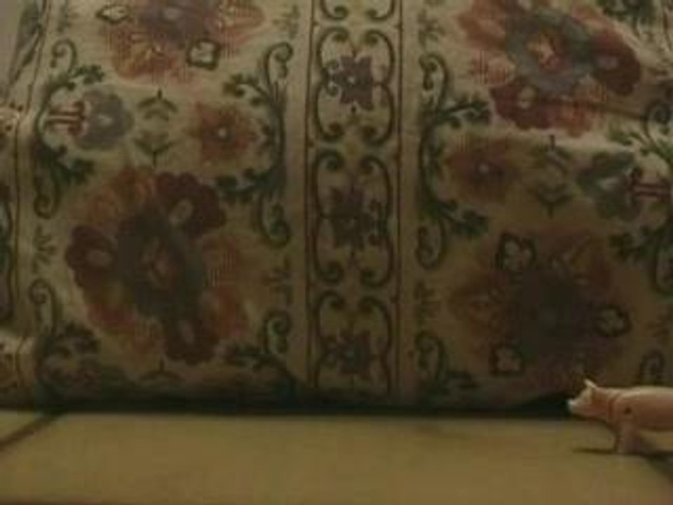 Freund Marek (Gute Quali)