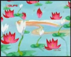 ARAI Akino The Rainbow colored Planet