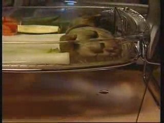 Omnicuiseur, appareil de cuisson diététique- Jardinière