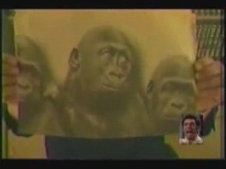 le racisme des rabbins sioniste