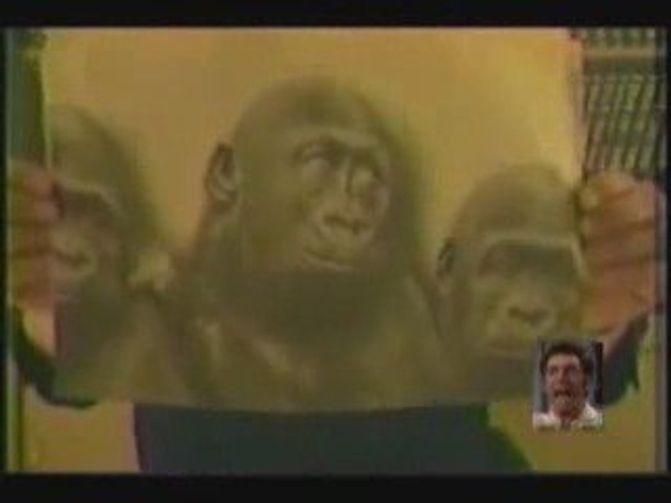 le racisme des rabbins sioniste