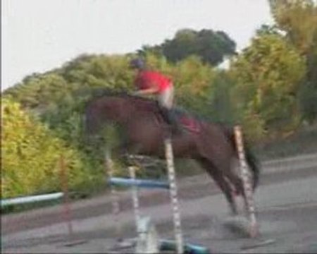 Stage CSO chez Bernard Duhamel aout 09