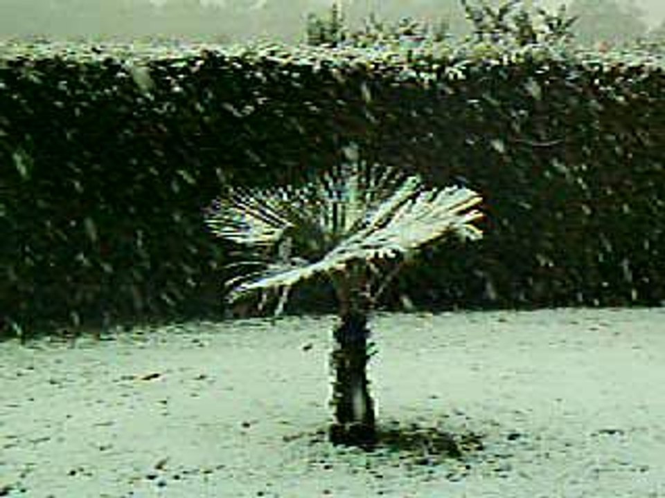 neige 2005