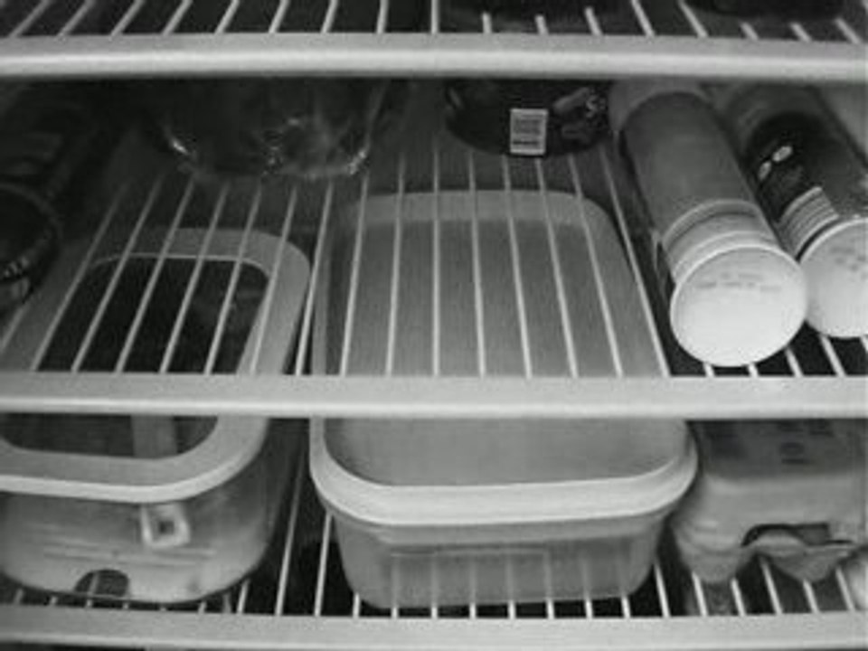 The Fridge