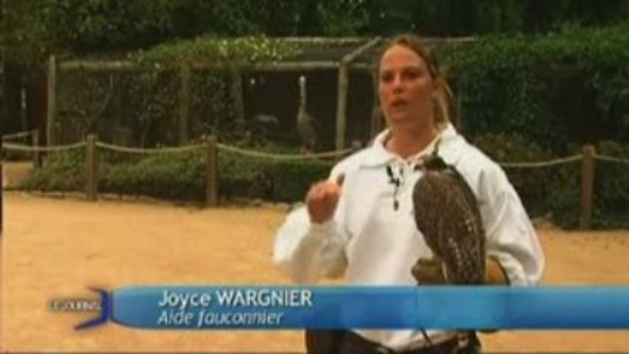 Fauconnerie du Puy du Fou : Le Bal des oiseaux fantômes