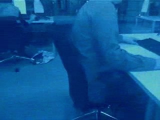 iPod nano - monitoring