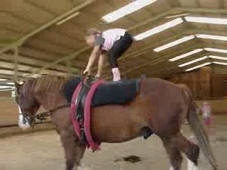 voltige "aux écuries du secret"