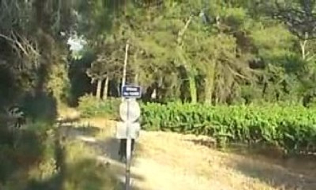 MOV039