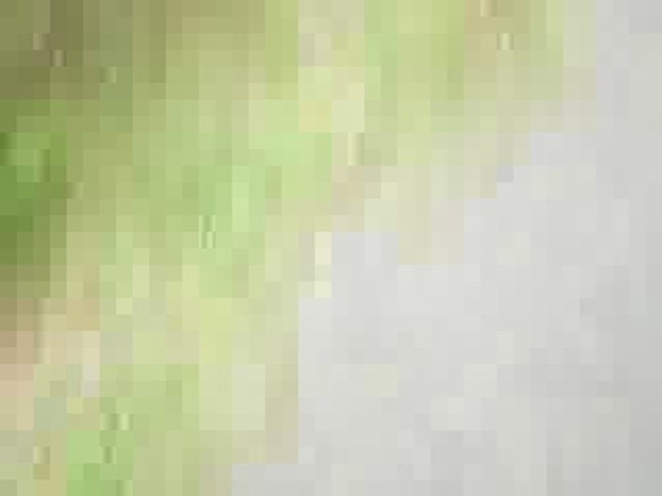 La Meute De la Colline du Bosc Brevet de Chasse Italie 04/O9