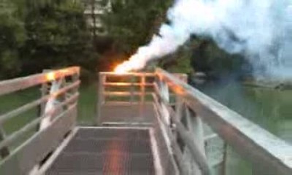 Chlorate de sodium + sucre !