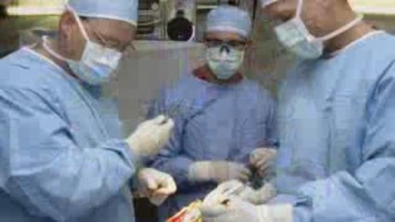 Die Bewegung der Grünen