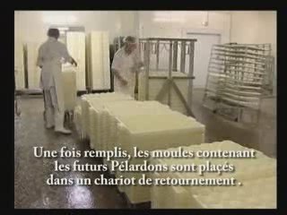 Activités de la Fromagerie des Cévennes