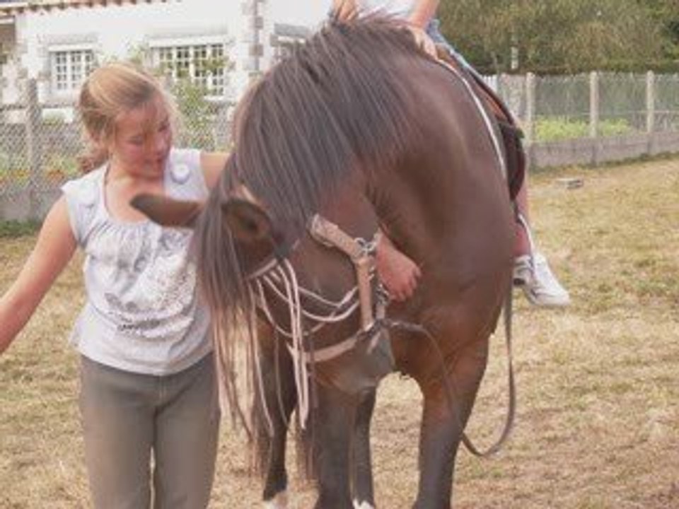 elle est pour moi comme les ailes pour un oiseau