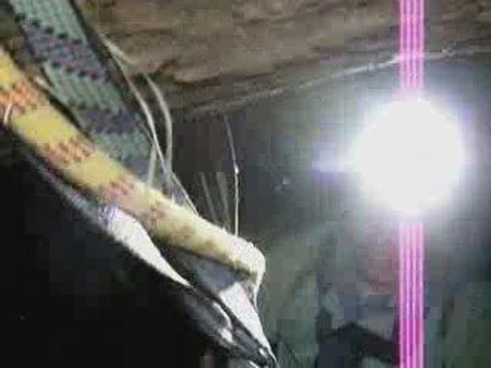 les orties-framboisiers!!