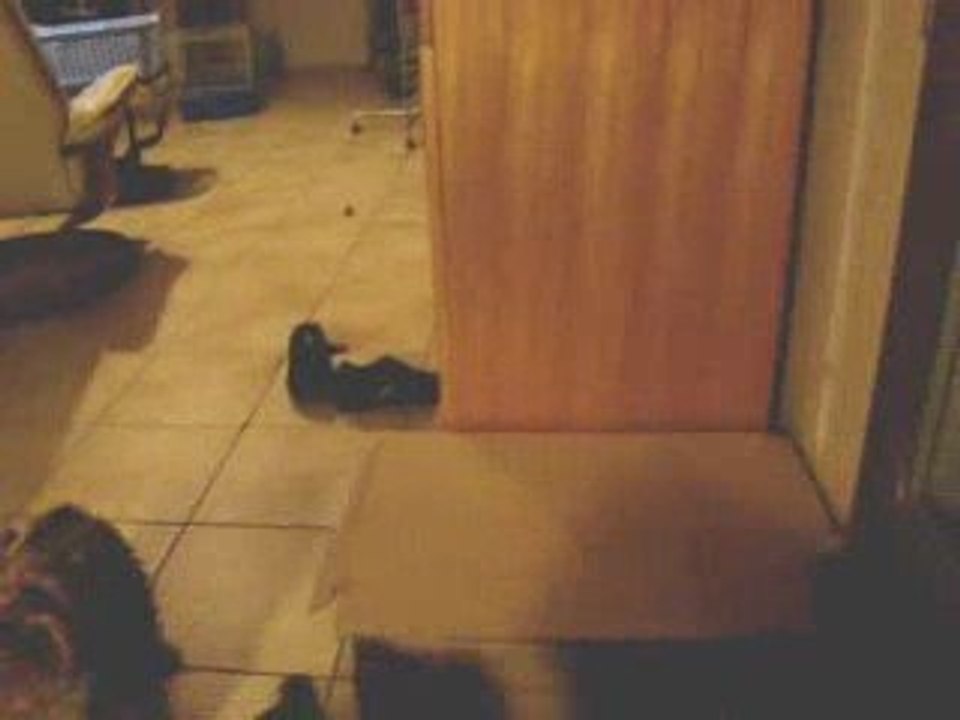 Le retour du carton !