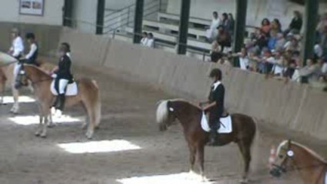Championnat Nat Haflinger Rappel 3 ans montés bréviaires09