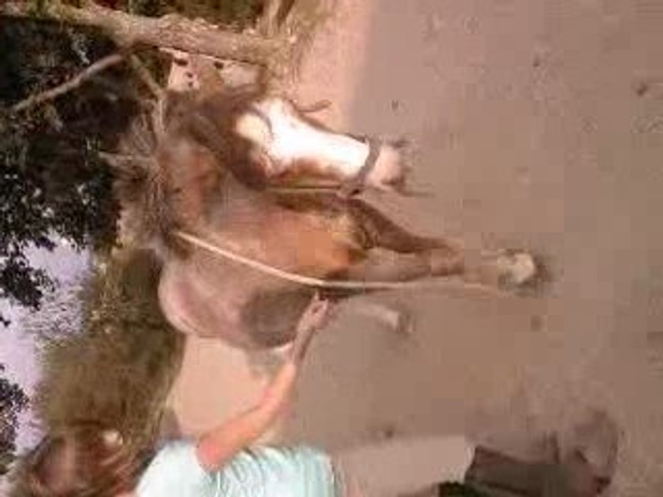Video Nini 2