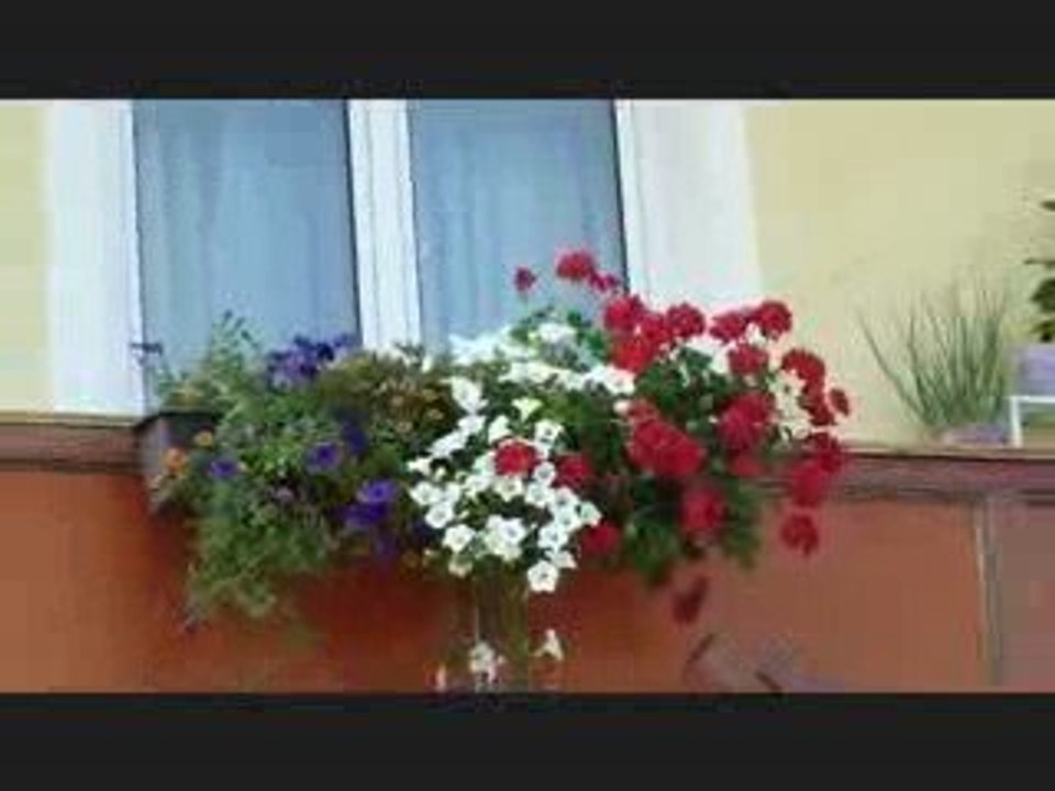 Bed and Breakfast in Salzburg, Austria