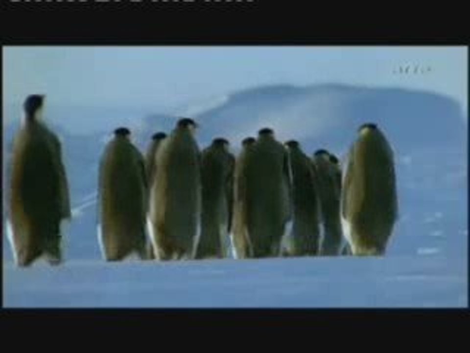 spiritualité 2sur 2 .... ( intelligence soufrance  etc ....)