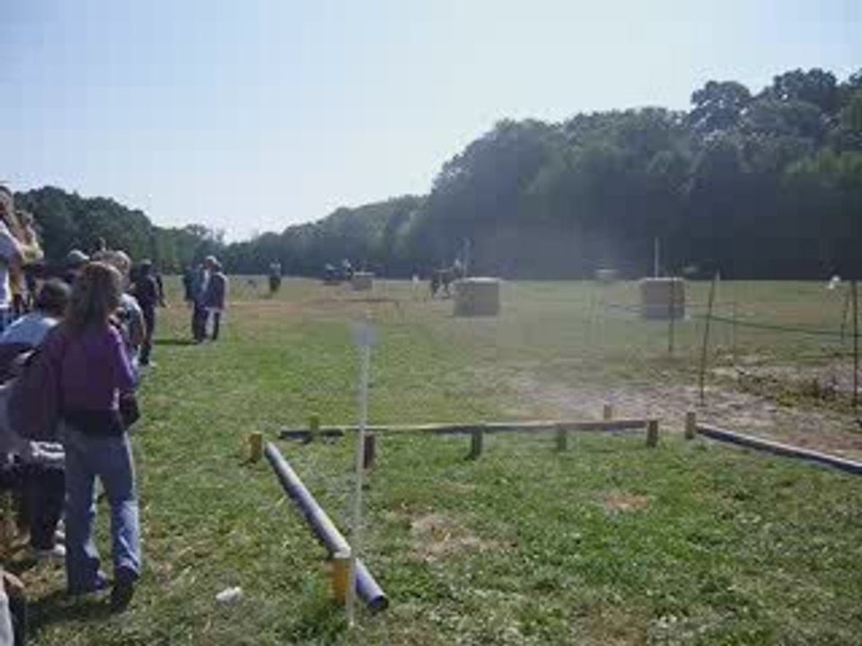 la Cense, épreuve de trec Thierry Lhermitte en attelage