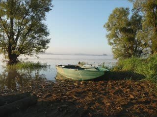 pêche à la carpe en lac