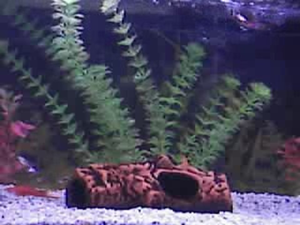WATERHOME !!!