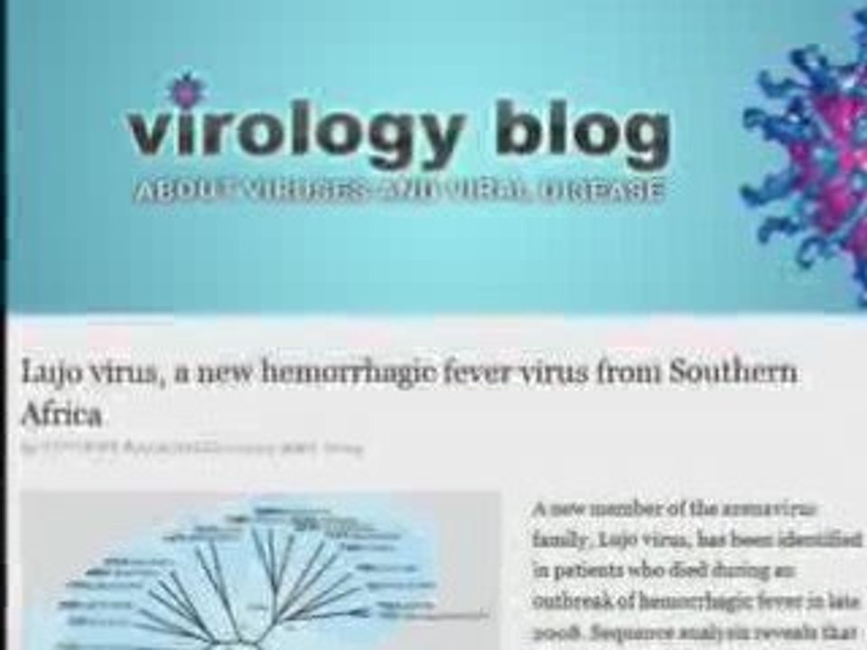 Lujo le nouveau virus mortel