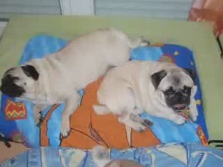 on aime comme on a été aimé !!!!