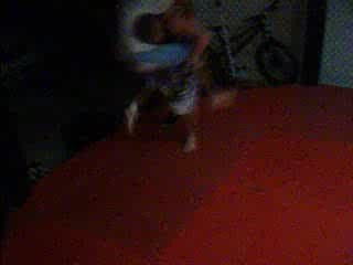 Eddie Bravo vs. Jake Rosholt MMA fight