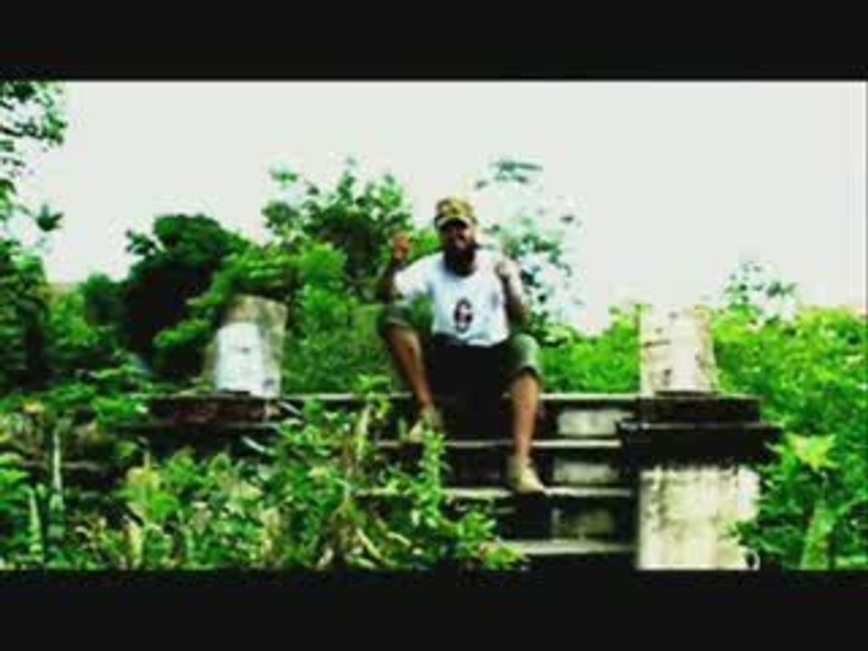 Elephant Wise - 21 Gun Salute