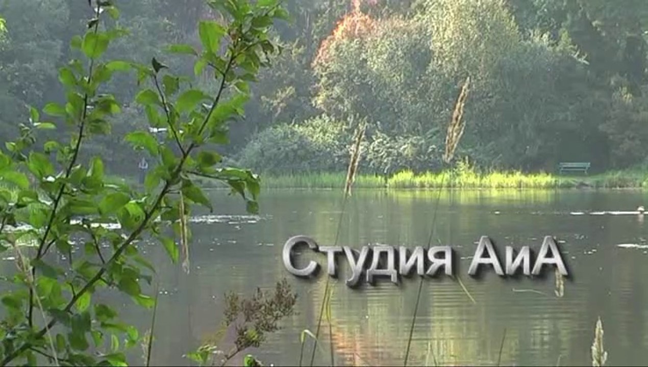Воспоминания о лете. Memories of summer