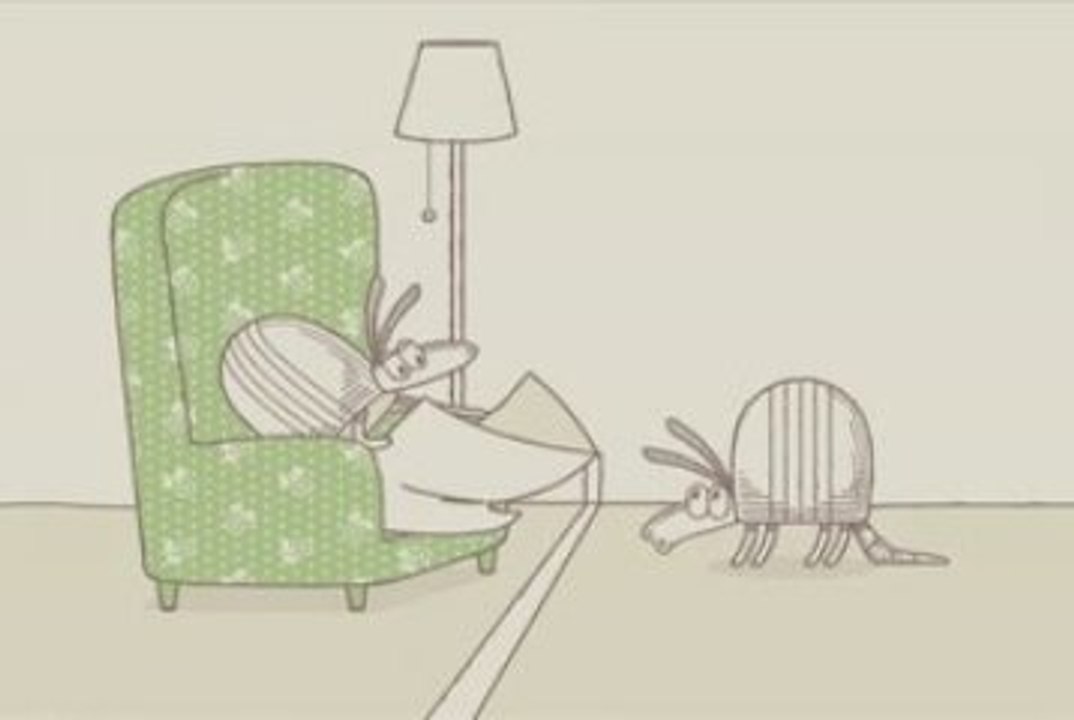 Nature Break - Roommates