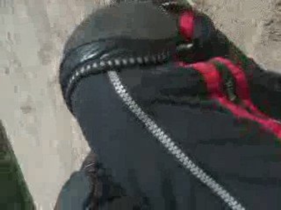 A Smooth Landing