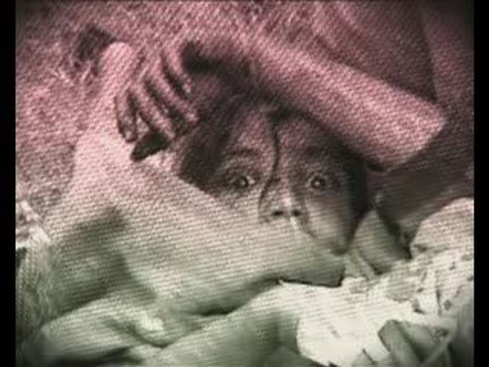 İHH - Bu çocuklar sizin çocuklarınız da olabilir