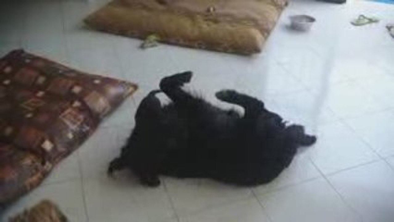 Rama&LN - 12.09.2009