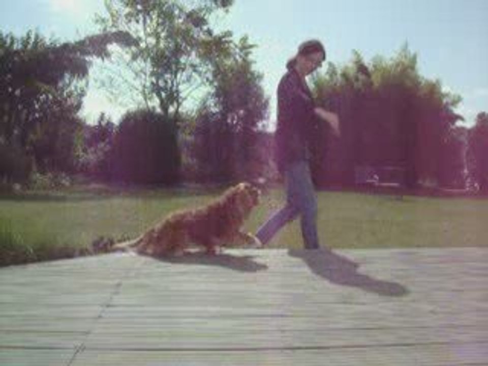 Hugo